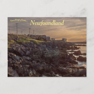Carte Postale Portugal Cove Terre-Neuve Canada