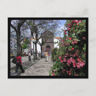 Carte Postale (Portugal) Funchal, Madeira Postcard