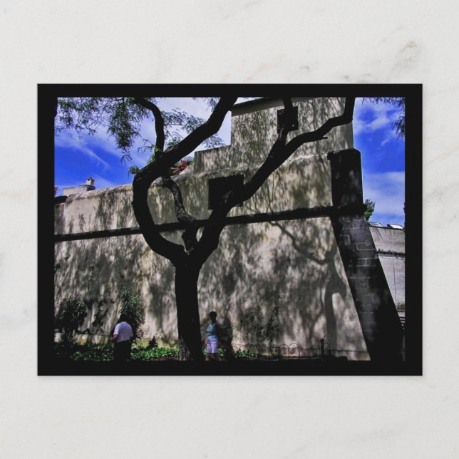 Carte Postale (Portugal) Funchal, Madeira Postcard (Devant)