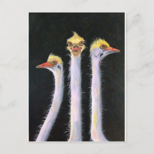 Carte Postale Poseurs