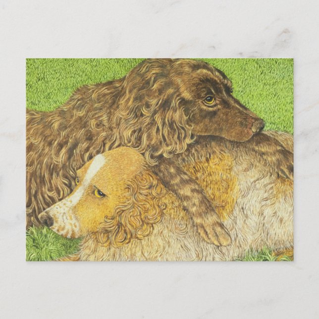 Carte Postale Possession (Devant)