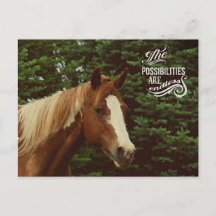 Carte Postale Possibilités infinies Paint Horse Mare