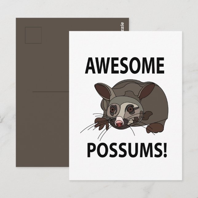 Carte Postale Possums Incroyables Possums Drôles (Devant / Derrière)
