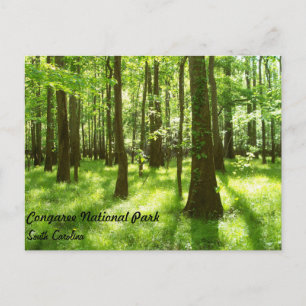 Carte Postale Post Card