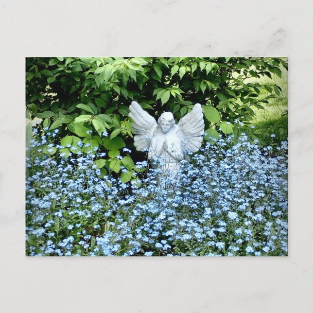 Carte Postale Post Card From The Heart (Devant)