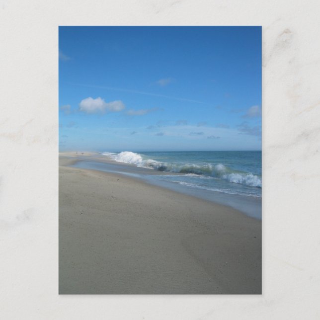 Carte Postale Post Card:Outer Beach on the Cape (Devant)