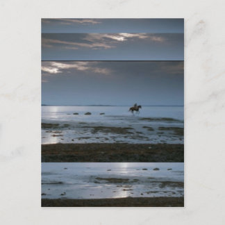 Carte Postale Post Cards Graphic Designs photos n symbols