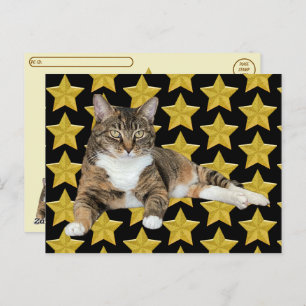 Carte Postale Post-croisement - Annie's Star : Cat Postcard