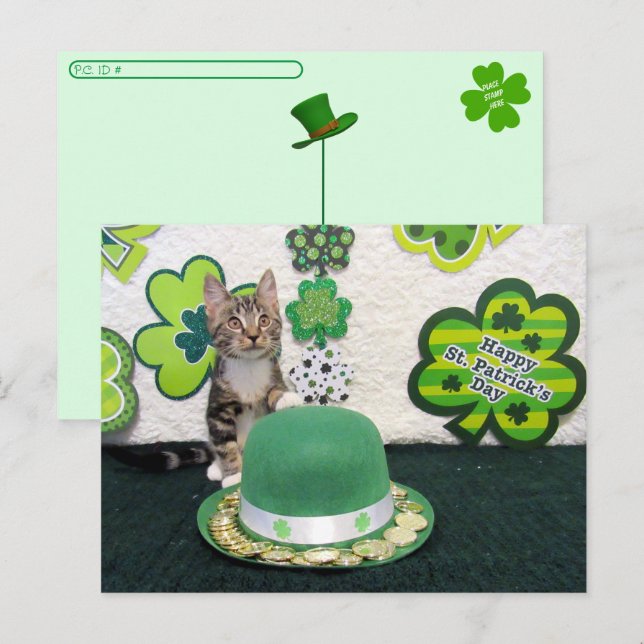 Carte Postale Post-croisement - Bandit La Saint-Patrick du chat (Devant / Derrière)