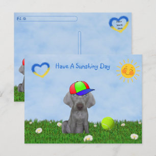 Carte Postale Post-croisement - Brooklyn le Weimaraner's Fun Day