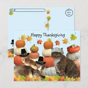 Carte Postale Post-croisement - Chats, Citrouilles et feuilles d