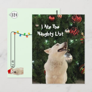 Carte Postale Post-croisement - Crystal's Naughty List Noël