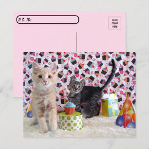 Carte Postale Post-croisement - Joyeux chats d'anniversaire