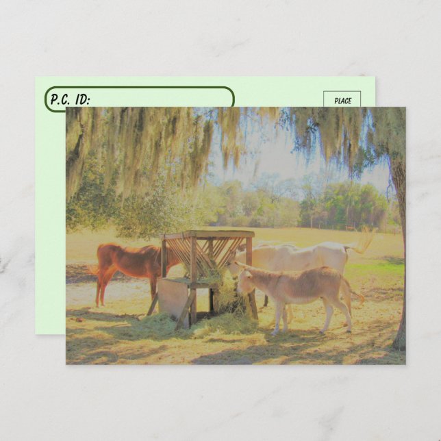 Carte Postale Post-croisement =La station d'alimentation 2 cheva (Devant / Derrière)