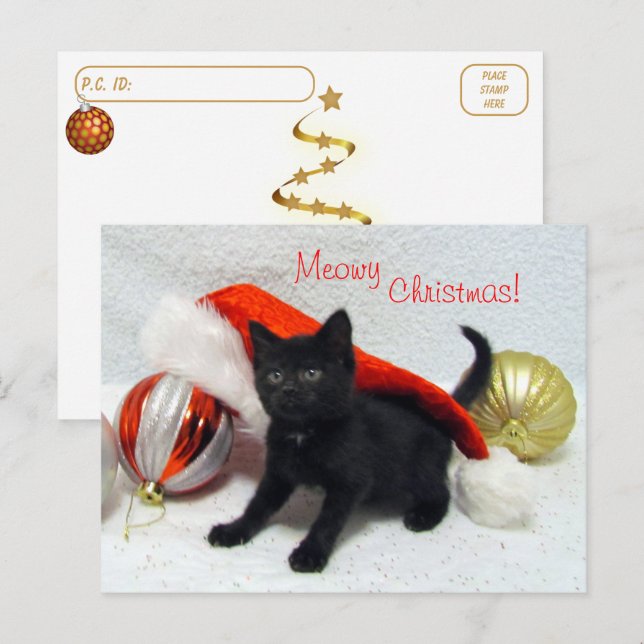 Carte Postale Post-croisement - Noël de Joon - Chat / Kitten (Devant / Derrière)