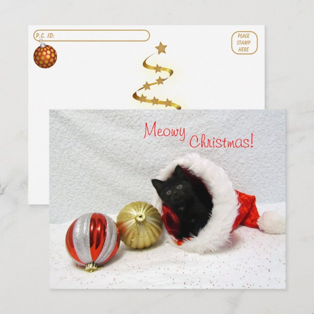 Carte Postale Post-croisement - Noël de Joon - Chat / Kitten (Devant / Derrière)