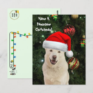 Carte Postale Post-traversée Père Noël Paws - Le Joyeux Noël Hus