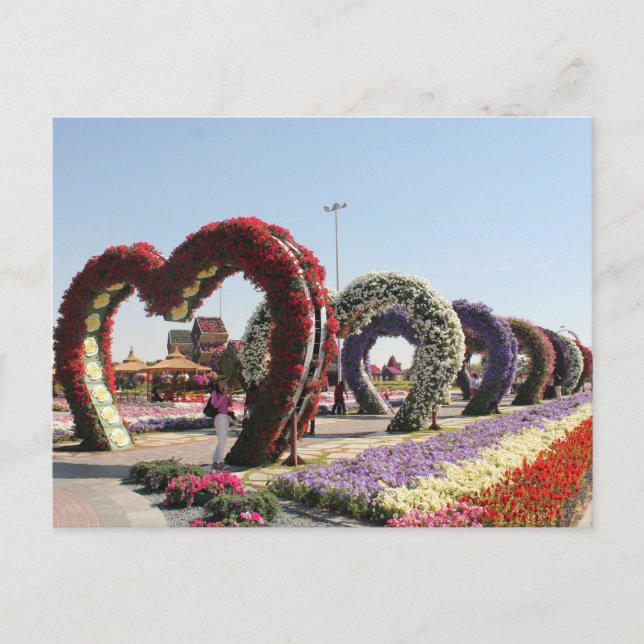 Carte Postale Postal Dubaï Miracle Garden (Devant)