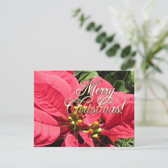 Carte Postale Postal Xmas 002  - Postcard (Debout devant)