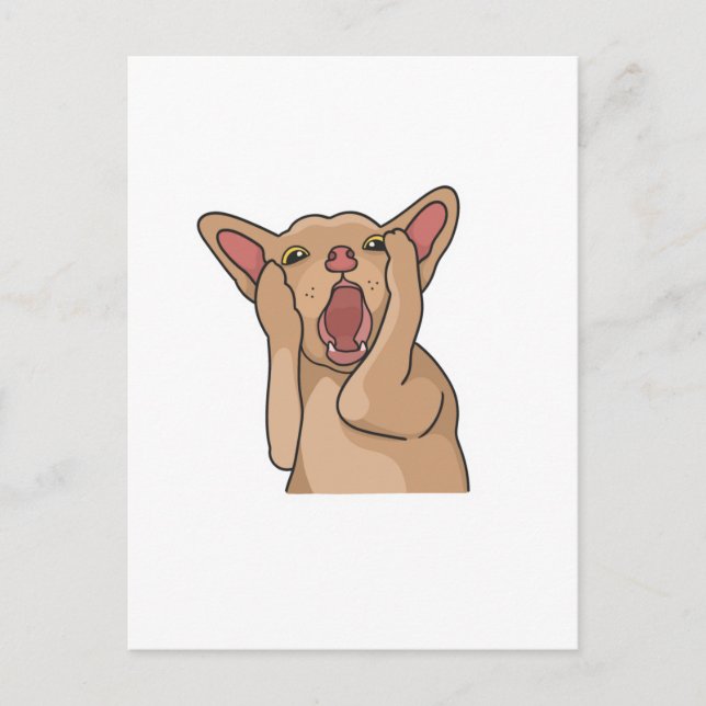 Carte Postale Postcard (Devant)