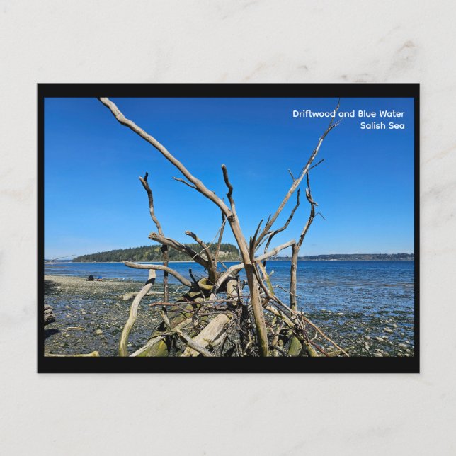 Carte Postale Postcard (Devant)