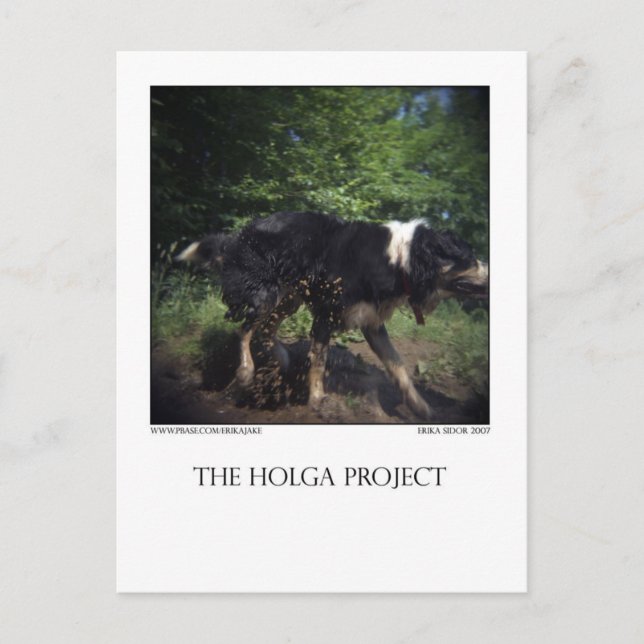 Carte Postale Postcard 8 (Devant)