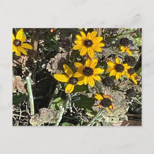 Carte Postale Postcard de Yellow