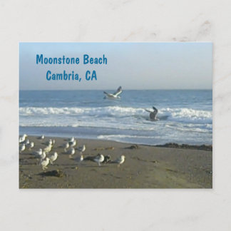 Carte Postale Postcard: Moonstone Beach, Cambria, C