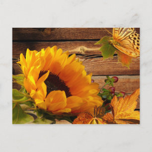 Carte Postale Postcard, Rustic Country Fall Sunflower Butterfly