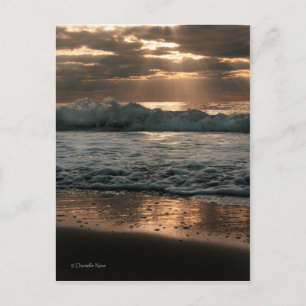 Carte Postale PostCard_splash