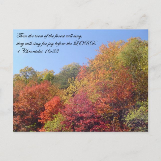 Carte Postale Postcards : Trees Sing (Devant)