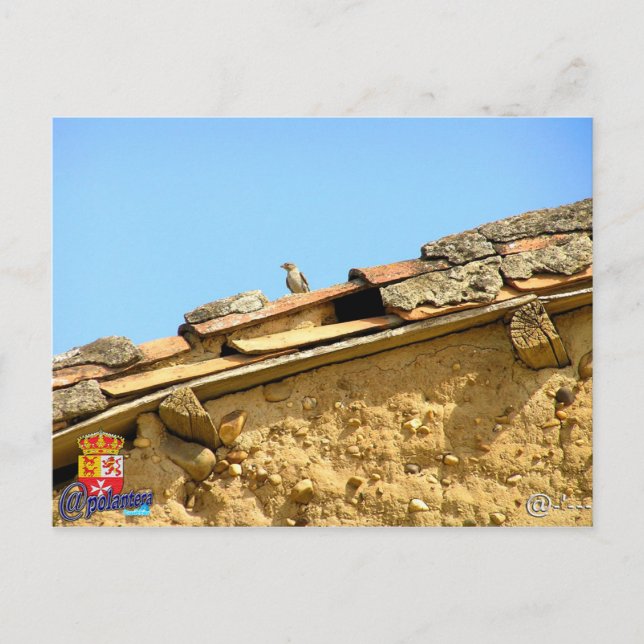 Carte Postale Poste de Tarjeta (Devant)