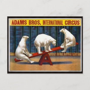 Carte postale Poster Circus