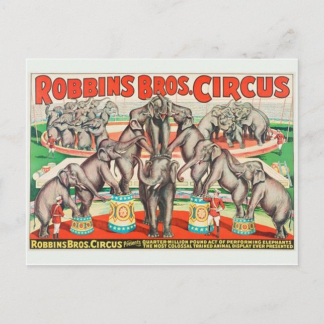 Carte postale Poster Circus (Devant)