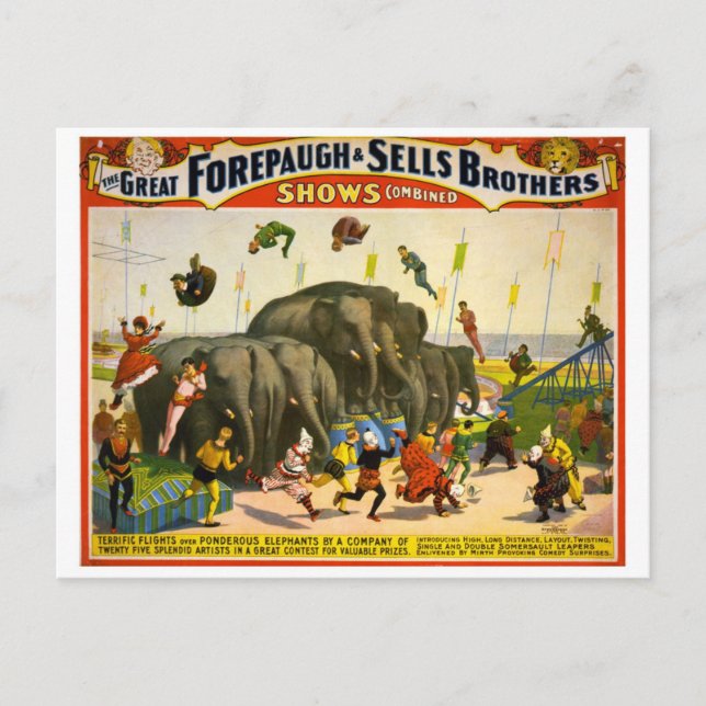 Carte postale Poster Circus (Devant)