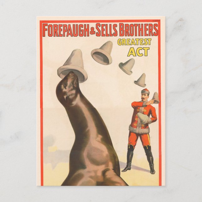 Carte Postale Poster De Cirque Montrant Un Lion De Mer Casquette (Devant)