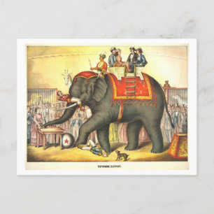 Carte Postale Poster de cirque vintage pour jouer Elephant