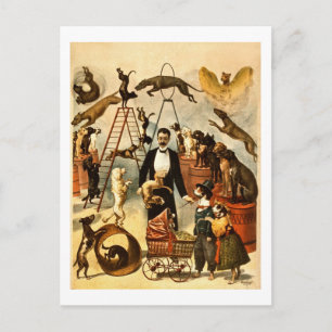 Carte Postale Poster de la Loi de 1899 sur le Cirque Vintage