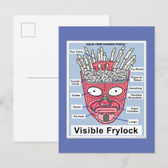 Carte Postale Poster de l'Aqua Ado Hunger Force Visible Frylock (Devant / Derrière)