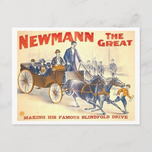 Carte Postale Poster de Newmann's Great Blindfold Drive (Devant)