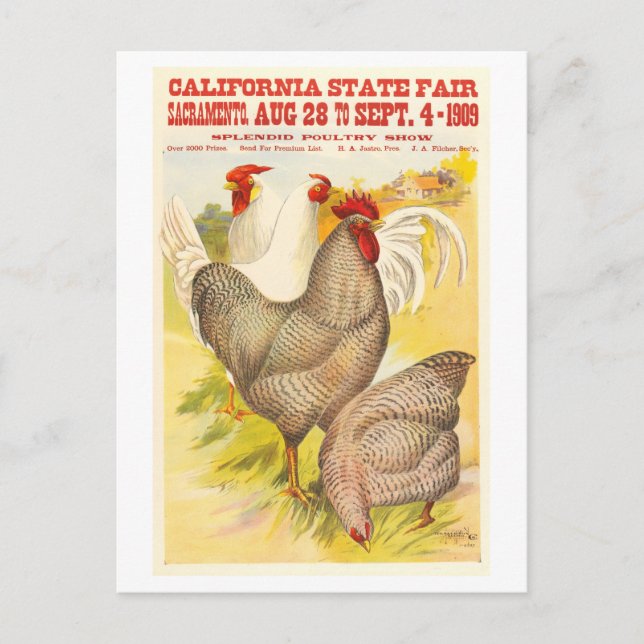 Carte Postale Poster de volaille de l'exposition d'état de Calif (Devant)