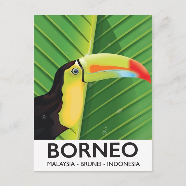 Carte Postale Poster de voyage Bornéo Toucan (Devant)