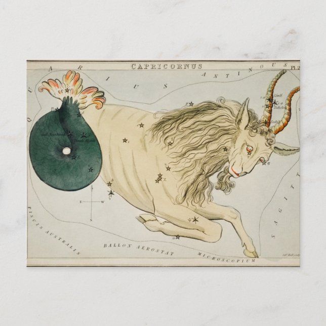 Carte Postale Poster d'illustration de la constellation vintage (Devant)