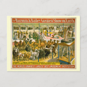 Carte Postale Poster du Barnum & Bailey Circus