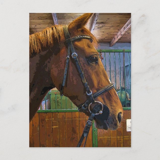 Carte Postale Poster du cheval (Devant)