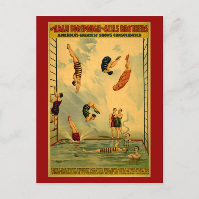 Carte Postale Poster du cirque de plongée / plongée (Devant)
