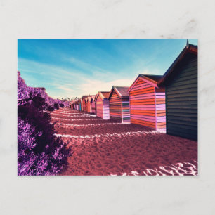 Carte Postale Poster du dos de Brighton Beach