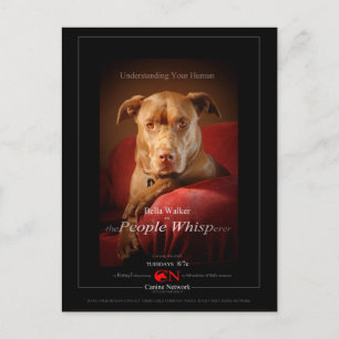 Carte Postale Poster du film Chien Mix de laboratoire de chocola
