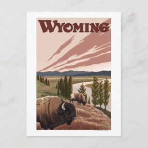 Carte Postale Poster du Vintage voyage du Bison de la rivière Ye