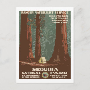 Carte Postale Poster du Vintage voyage du Parc national Sequoia